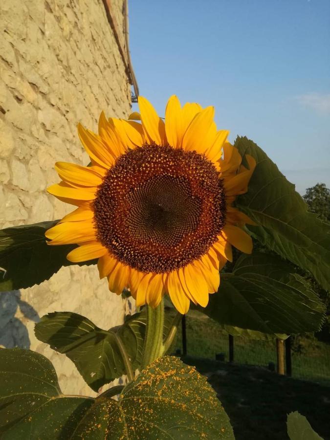 Bed and Breakfast Casale Monte Valestra Bebbio Zewnętrze zdjęcie