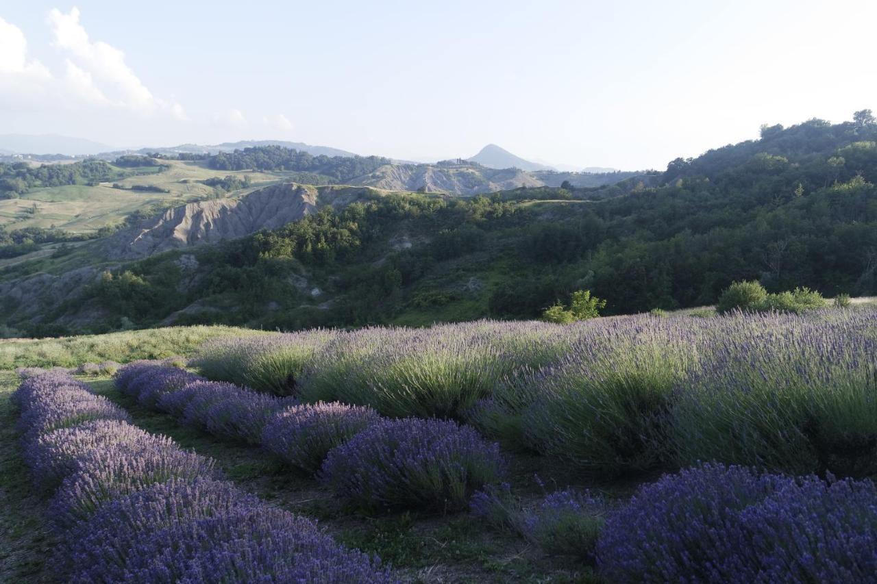 Bed and Breakfast Casale Monte Valestra Bebbio Zewnętrze zdjęcie