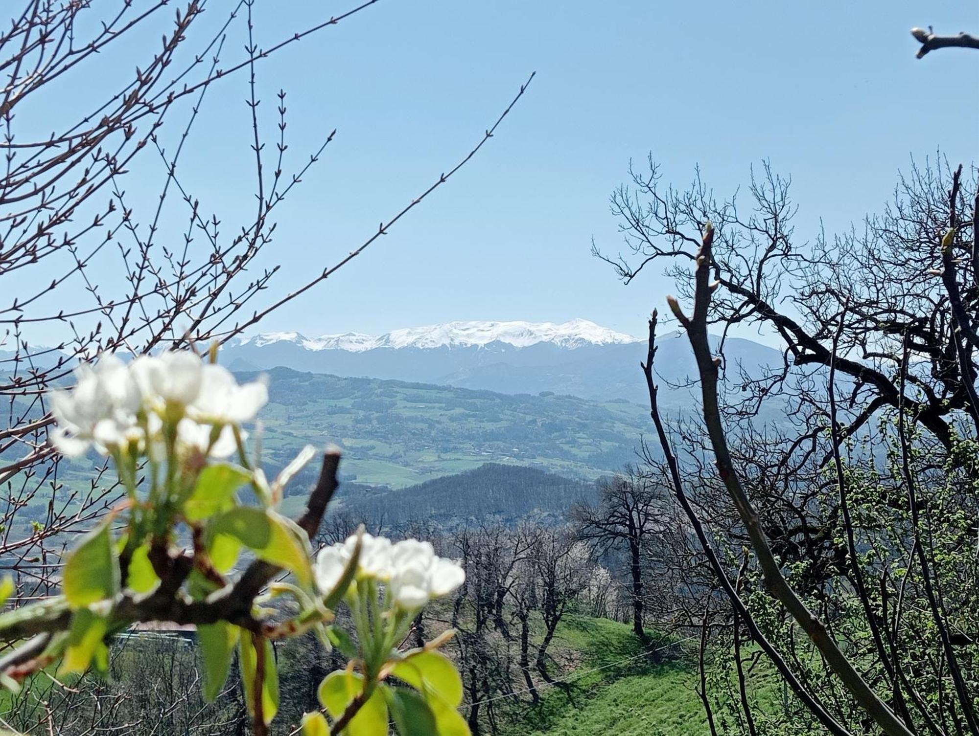 Bed and Breakfast Casale Monte Valestra Bebbio Zewnętrze zdjęcie